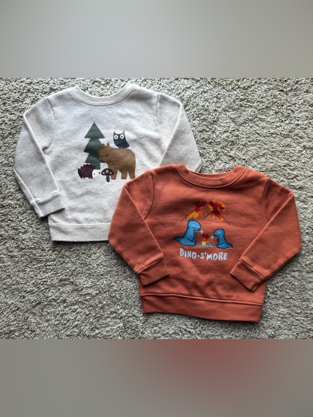 18M Garanimals Sweatshirt 2pc Bundle Dino-S’more & Woodland Bear Set